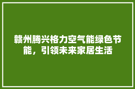 赣州腾兴格力空气能绿色节能，引领未来家居生活