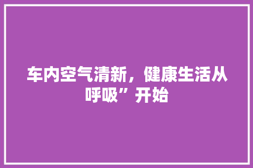 车内空气清新，健康生活从呼吸”开始