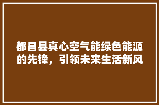 都昌县真心空气能绿色能源的先锋，引领未来生活新风尚