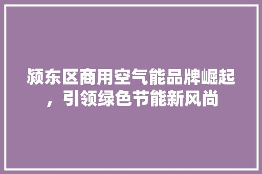 颍东区商用空气能品牌崛起，引领绿色节能新风尚 家电维修