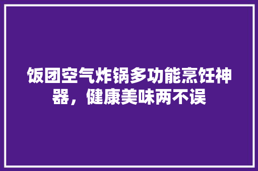 饭团空气炸锅多功能烹饪神器，健康美味两不误