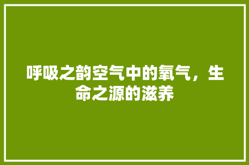 呼吸之韵空气中的氧气，生命之源的滋养 家电维修