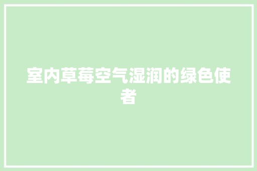 室内草莓空气湿润的绿色使者 墙体维修