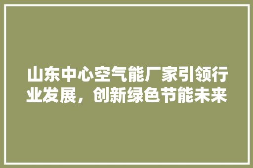 山东中心空气能厂家引领行业发展，创新绿色节能未来