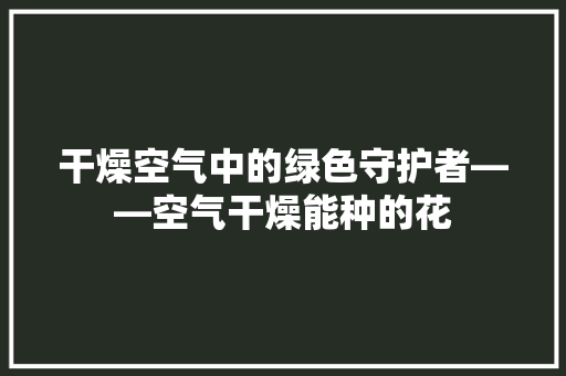 干燥空气中的绿色守护者——空气干燥能种的花 综合便民