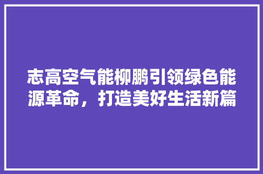 志高空气能柳鹏引领绿色能源革命，打造美好生活新篇章