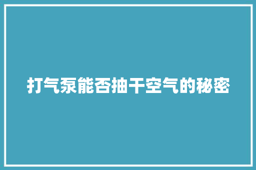打气泵能否抽干空气的秘密 墙体维修