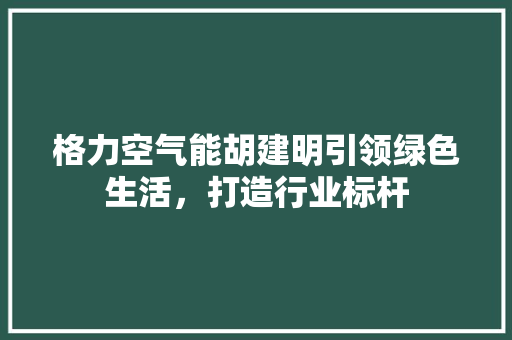格力空气能胡建明引领绿色生活，打造行业标杆 厨房维修