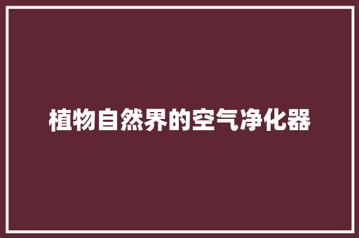 植物自然界的空气净化器