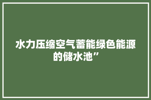 水力压缩空气蓄能绿色能源的储水池” 厨房维修