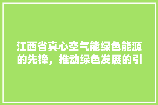 江西省真心空气能绿色能源的先锋，推动绿色发展的引擎