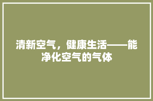 清新空气，健康生活——能净化空气的气体 厨房维修