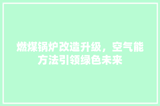 燃煤锅炉改造升级，空气能方法引领绿色未来