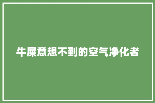 牛屎意想不到的空气净化者