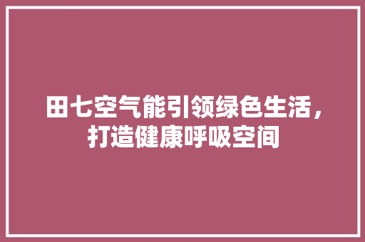 田七空气能引领绿色生活，打造健康呼吸空间 厨房维修