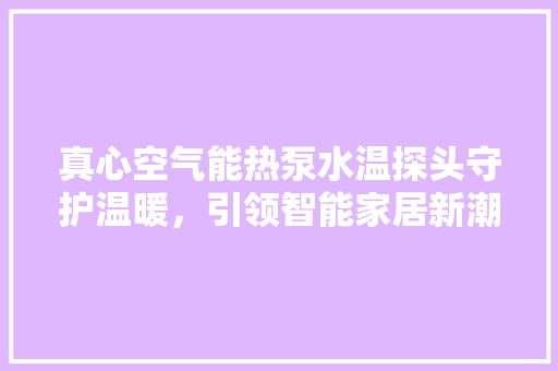 真心空气能热泵水温探头守护温暖，引领智能家居新潮流