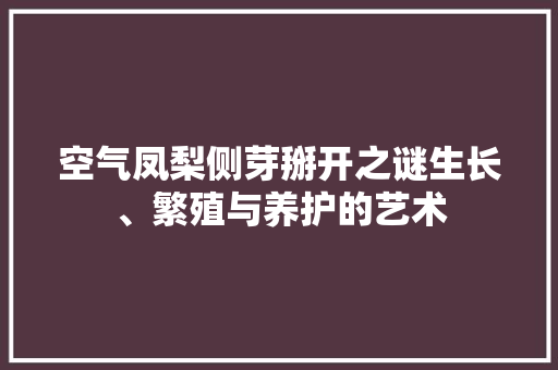 空气凤梨侧芽掰开之谜生长、繁殖与养护的艺术