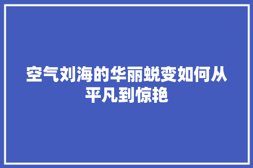 空气刘海的华丽蜕变如何从平凡到惊艳