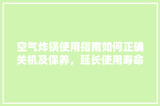 空气炸锅使用指南如何正确关机及保养，延长使用寿命