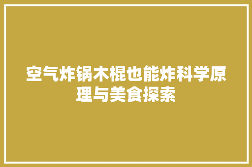 空气炸锅木棍也能炸科学原理与美食探索