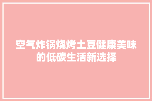 空气炸锅烧烤土豆健康美味的低碳生活新选择