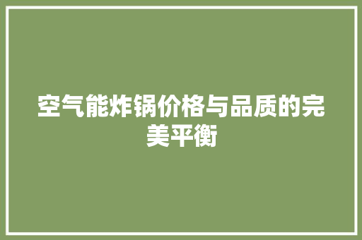 空气能炸锅价格与品质的完美平衡