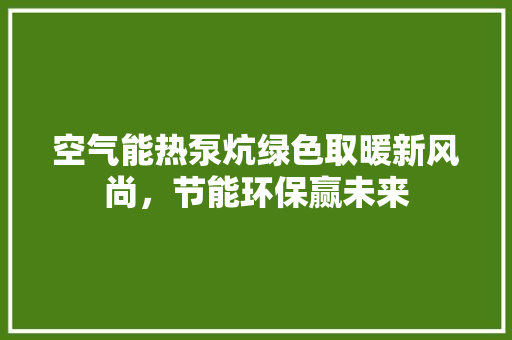 空气能热泵炕绿色取暖新风尚，节能环保赢未来