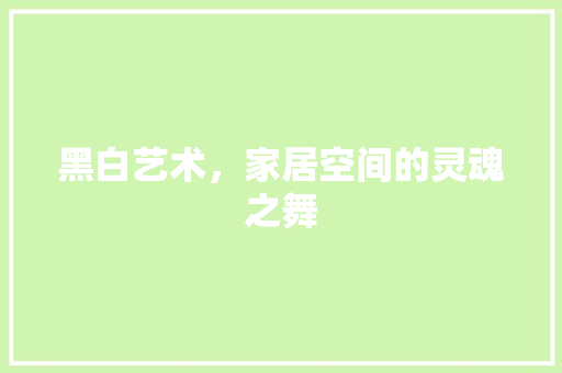 黑白艺术，家居空间的灵魂之舞 黑白艺术，家居空间的灵魂之舞 综合便民