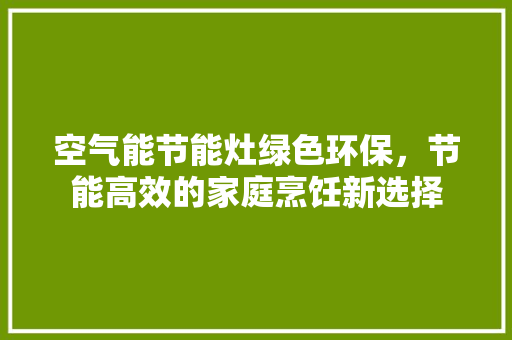 空气能节能灶绿色环保，节能高效的家庭烹饪新选择 综合便民