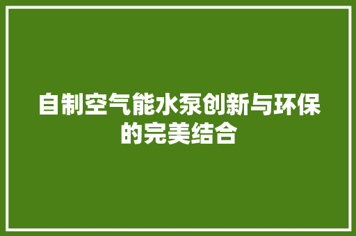 自制空气能水泵创新与环保的完美结合 综合便民