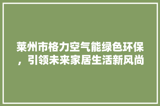 莱州市格力空气能绿色环保，引领未来家居生活新风尚 厨房维修