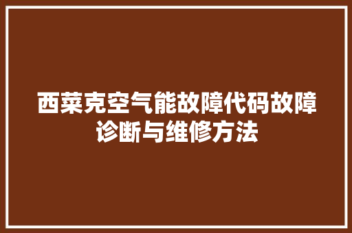 西菜克空气能故障代码故障诊断与维修方法 厨房维修