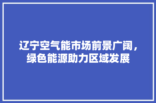 辽宁空气能市场前景广阔，绿色能源助力区域发展 厨房维修