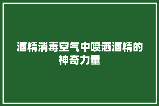 酒精消毒空气中喷洒酒精的神奇力量 汽车维修