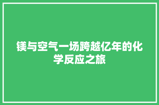 镁与空气一场跨越亿年的化学反应之旅 汽车维修
