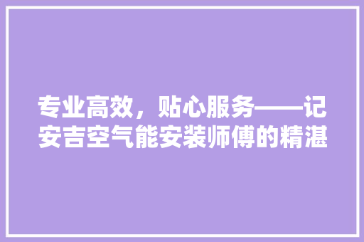 专业高效，贴心服务——记安吉空气能安装师傅的精湛技艺