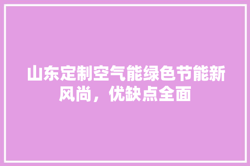 山东定制空气能绿色节能新风尚，优缺点全面 厨房维修