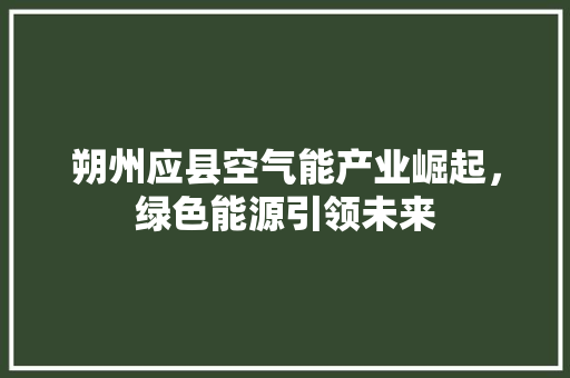 朔州应县空气能产业崛起，绿色能源引领未来