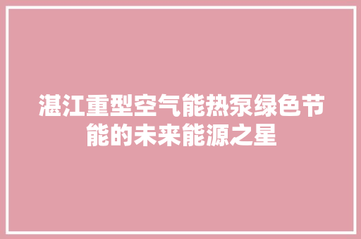 湛江重型空气能热泵绿色节能的未来能源之星