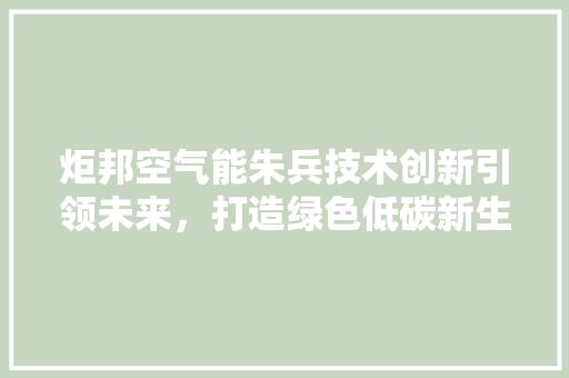 炬邦空气能朱兵技术创新引领未来，打造绿色低碳新生活 综合便民