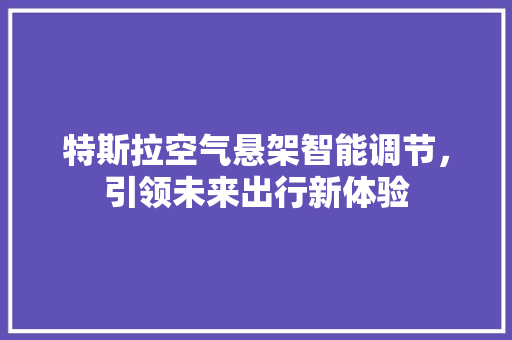 特斯拉空气悬架智能调节，引领未来出行新体验 汽车维修