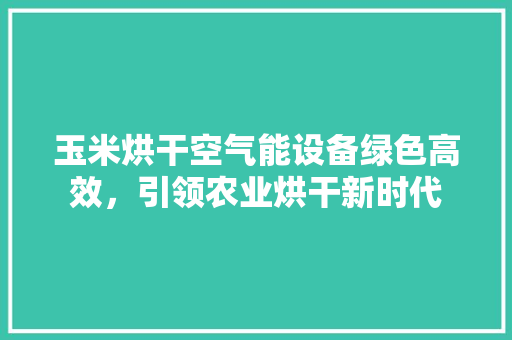 玉米烘干空气能设备绿色高效，引领农业烘干新时代 家电维修