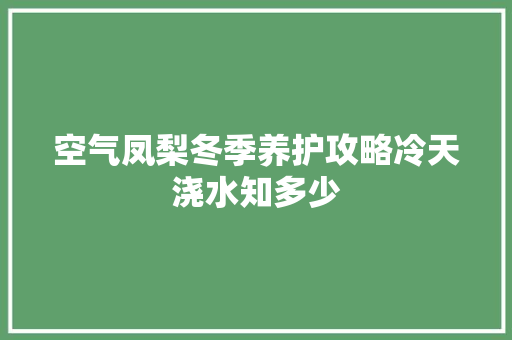 空气凤梨冬季养护攻略冷天浇水知多少 墙体维修