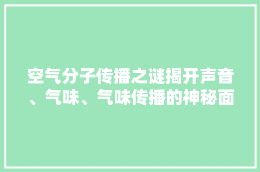 空气分子传播之谜揭开声音、气味、气味传播的神秘面纱