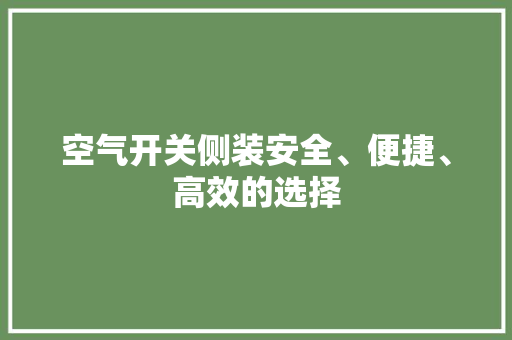 空气开关侧装安全、便捷、高效的选择 汽车维修