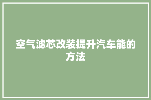 空气滤芯改装提升汽车能的方法