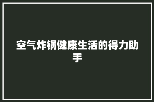 空气炸锅健康生活的得力助手