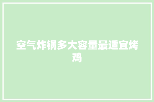 空气炸锅多大容量最适宜烤鸡