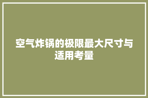 空气炸锅的极限最大尺寸与适用考量 汽车维修