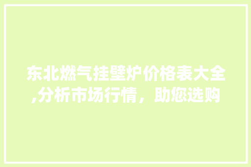 东北燃气挂壁炉价格表大全,分析市场行情，助您选购无忧_东北燃气挂壁炉价格表大全